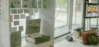 DOAS IN VOLLE BLOEI DOAS IN VOLLE BLOEI