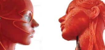 ANATOMIA - CORPUS SUAVE ANATOMIA - CORPUS SUAVE - 3D