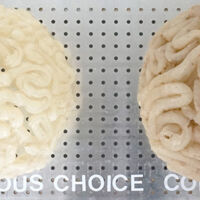 Silicon Valley - Silicon brains and transfer characters on a metal plate - 50 x 25 cm - 2025 Silicon Valley - Silicon brains and transfer characters on a metal plate - 50 x 25 cm - 2025