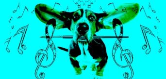 TOONBEELD Toonbeeld- workshop